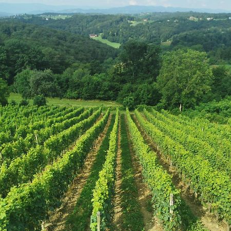 Sobe, Rooms B&B - Vina Kauran Zgornji Jakobski Dol Kültér fotó